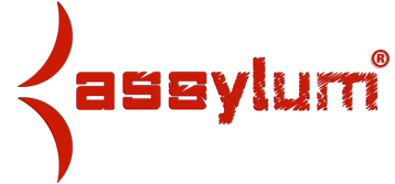 Assylum